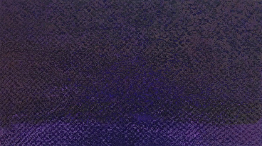 《紫色花序2》